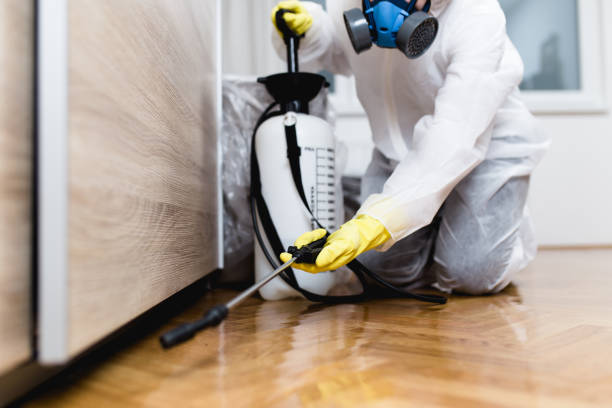 Best Pest Inspection Near Me  in Lake Holiday, VA