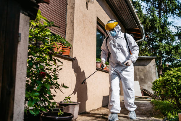 Best Affordable Pest Control Services  in Lake Holiday, VA