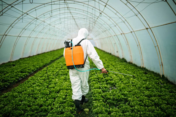 Best Pest Removal Services  in Lake Holiday, VA