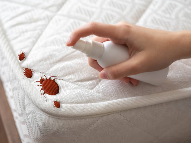 Best Emergency Pest Control  in Lake Holiday, VA